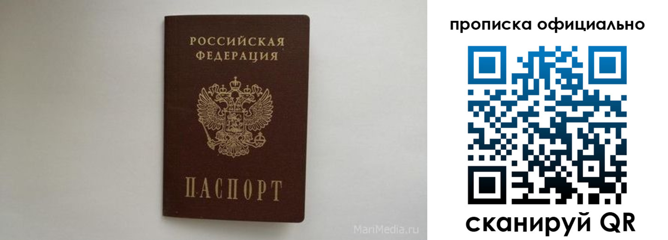 прописка в квартире в Оленегорске